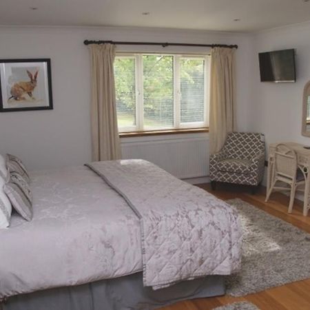 Cherry Tree Guesthouse Bradford-On-Avon Kamer foto